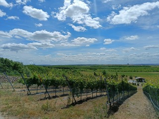 7. RW: Rekultivierter Wolkenberg mit Blick auf Kraftwerk Schwarze Pumpe
